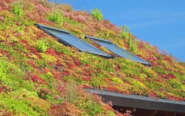 Norton In The Moors living roof systems