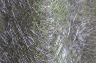 Norton In The Moors fibreglass roof work